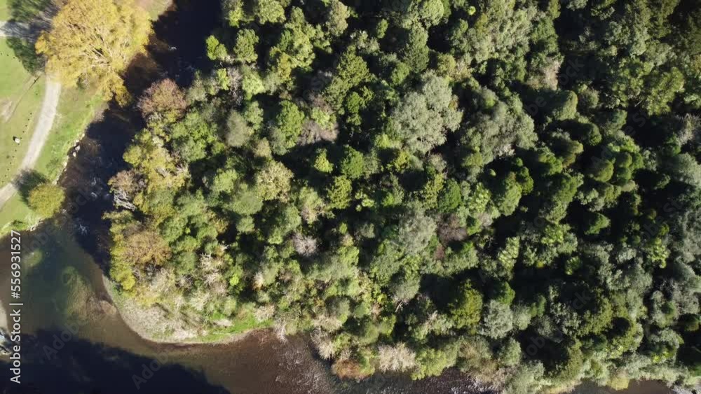 Campsite in the native New Zealand Forest 4K drone shot. Campsite in the native New Zealand Forest 4K drone shot.