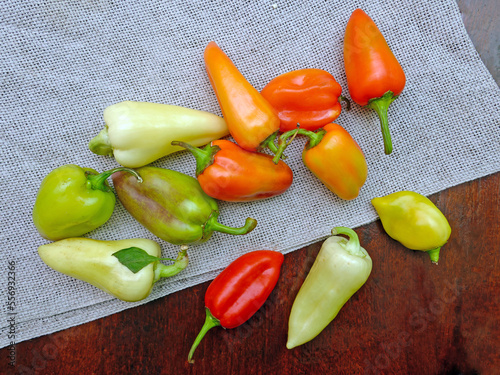 sweet pepper, scattered on burlap, fresh bell pepper