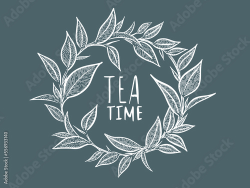 Green tea leaves. Hand drawn, vector.