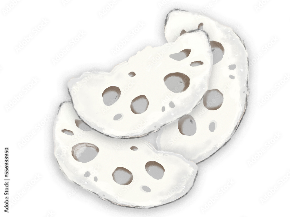 Fototapeta premium 日常の食品シリーズ 薄くスライスしたレンコン