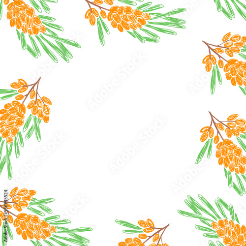 Sea ​​​​buckthorn fruits frame. Vector hand drawn design print. Natural pencil drawing