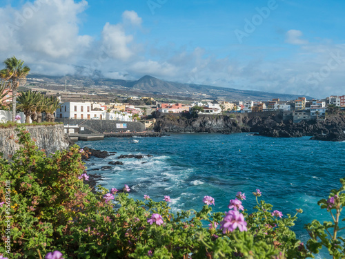 Views of the picturesque Alcala village with traditional architecture houses, small tranquil cove with beach and pier. Pink flowers in foreground, selective focus. Tenerife, Canary Islands, Spain