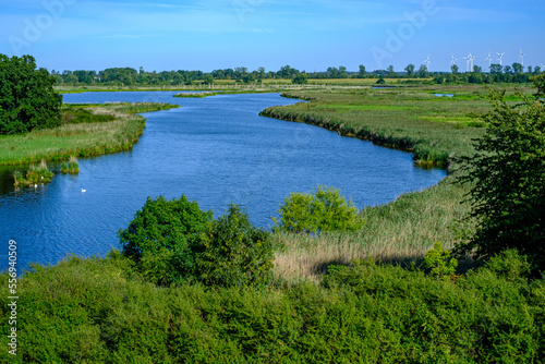 River landscape of the meandering Peene river in the Peene valley near Randow, Hanseatic Town of Demmin, Mecklenburg-Western Pomerania, Germany, Europe.