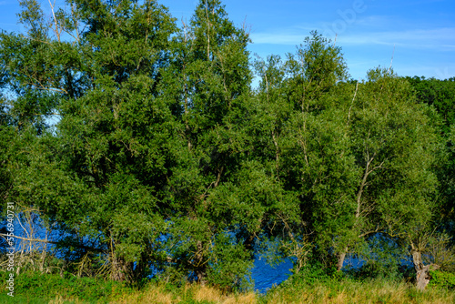 Peene River Valley Near Demmin, Germany photo