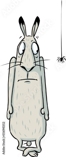 Witziger Cartoon: Hase mit Phobie erstarrt vor Angst neben einer Spinne