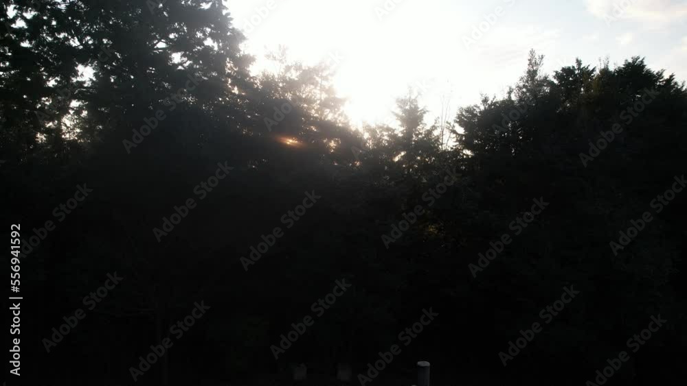 綺麗な木漏れ日と夕焼け　京丹後市久美浜町　ドローン空撮