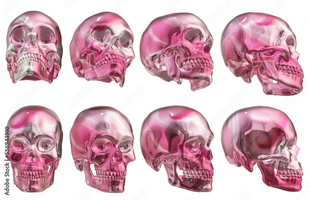 skull face, human skull face, human