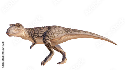 Albertosaurus PNG. Dinosaur Albertosaurus on a blank PNG high resolution background.