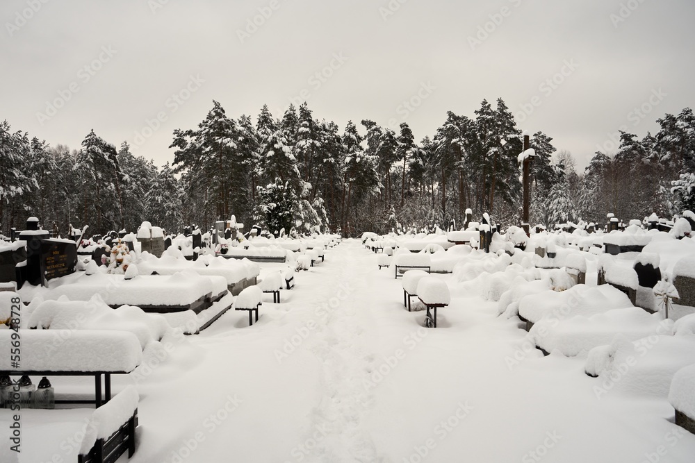 cmentarz zimą  - obrazy, fototapety, plakaty 