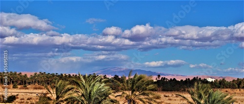 Paysages divers de l'atlas Algérien, Biskra