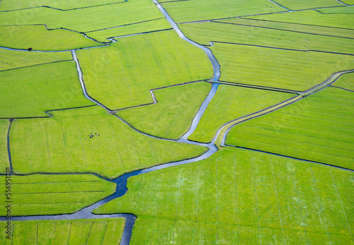 Fényképezés The Netherlands, Noord-Holland, Aerial view of green polders