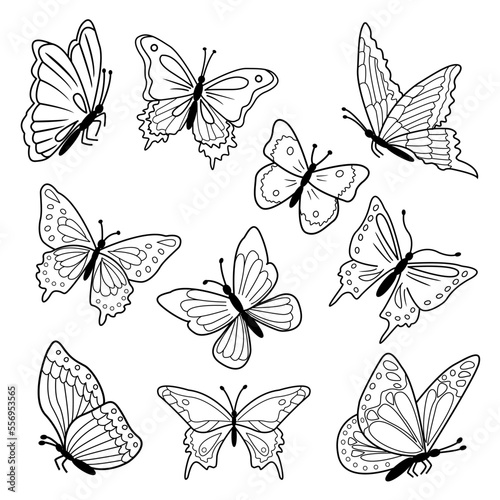 Silhouette of vector flying butterflies isolated on white background © Yuliia