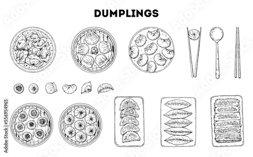 Dumplings sketch top view. Food menu design elements. Hand drawn set. Vector illustration. Chinese dumplings. Vintage illustration. Hand drawn food sketch. Design template.