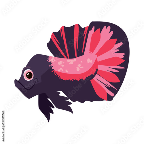 flat fish purple with pink
