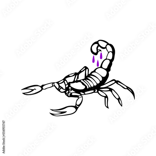 vector illustration of a scorpion with venom