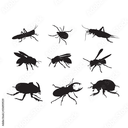 set of bugs vector silhouette.