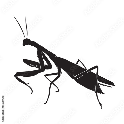 Silhouette of realistic mantis insect in isolate on a white background. Vector illustration