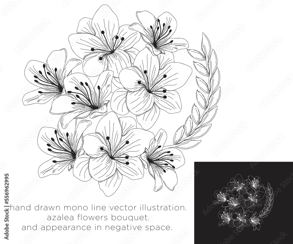 hand drawn mono line vector illustration.
azalea flowers bouquet.
and appreance on negative space.