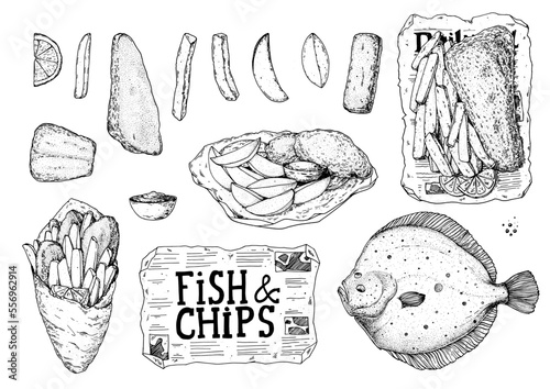 Fish and chips sketch vector illustration. British pub food. Hand drawn sketch collection. Cooking fish and chips. Engraved hand drawn vintage image. Menu design template.