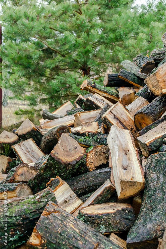 Industrial timber wood,lumber material for roofing construction. stack chopped dry trunks, Fire logs Industrial timber wood,lumber material for roofing construction. stack chopped dry trunks, Fire logs
