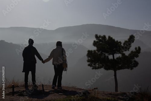 Silhouette of couple on a background of beautiful mountain. Couple is next to tree.