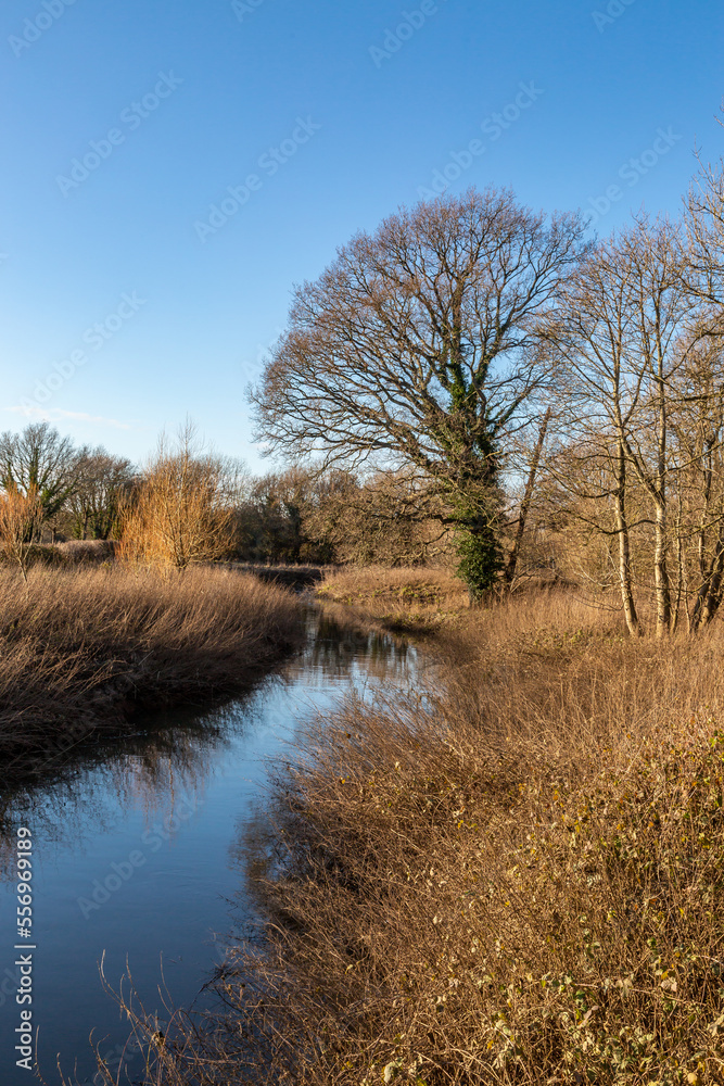 A view along the river, at Barcombe Mills near Lewes in Sussex A view along the river, at Barcombe Mills near Lewes in Sussex