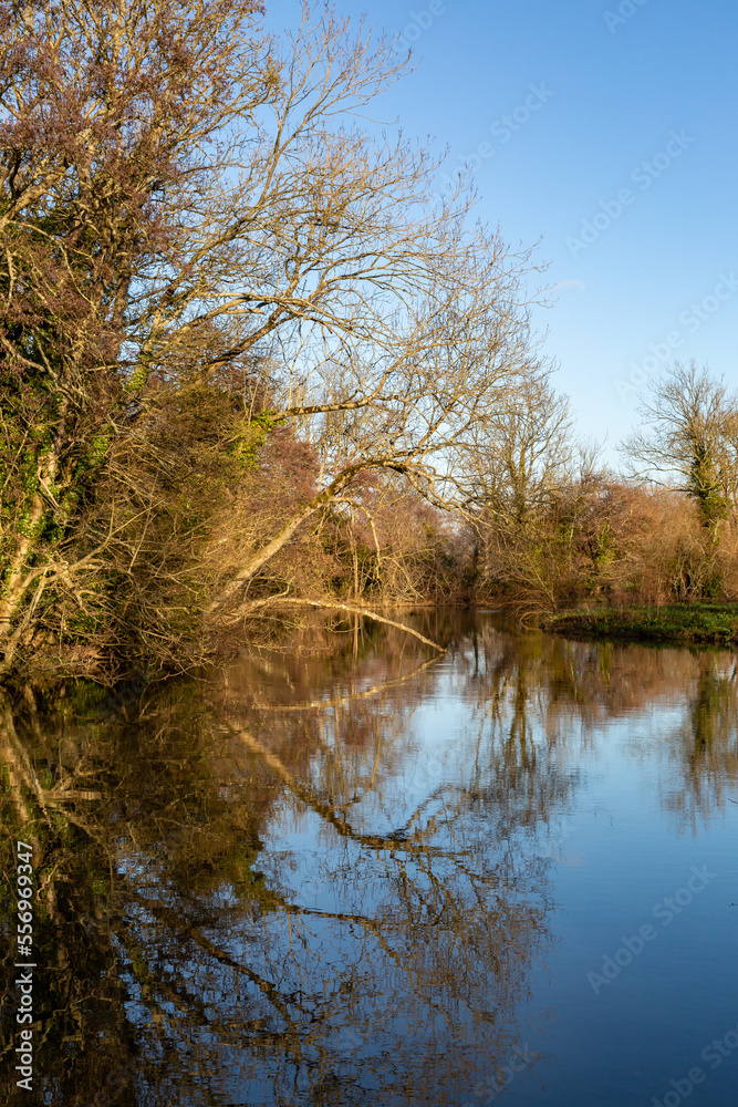A view along the river, at Barcombe Mills near Lewes in Sussex