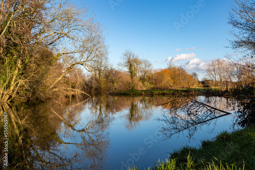 Fototapeta Naklejka Na Ścianę i Meble -  A view along the river, at Barcombe Mills near Lewes in Sussex