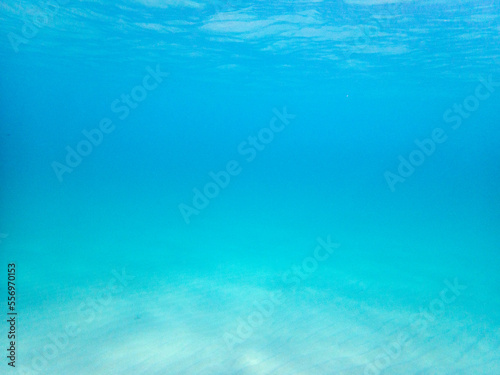 Fotografie Fondale marino Calamosche