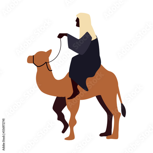 flat camel with a man