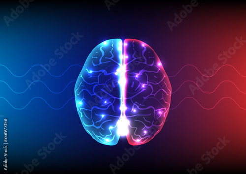 Illustration of human brain and brain waves on technology background.