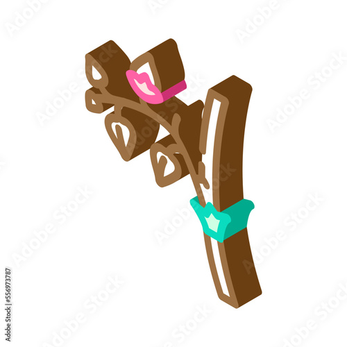 buckwheat plant healthy isometric icon vector. buckwheat plant healthy sign. isolated symbol illustration