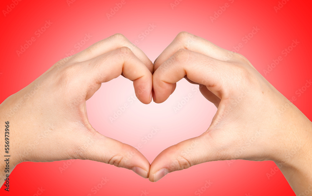 Fototapeta premium heart in hands