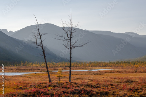 Autumn evening at Jack London Lake