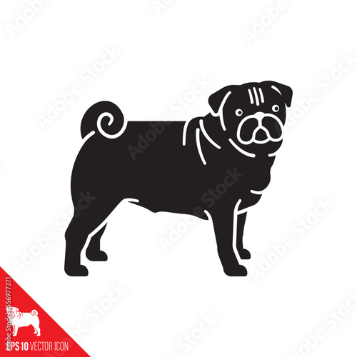 Pug vector glyph icon. Cute purebred dog  symbol.