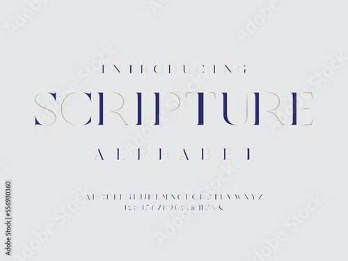 Vector of stylized modern serif alphabet design with uppercase, numbers and symbols