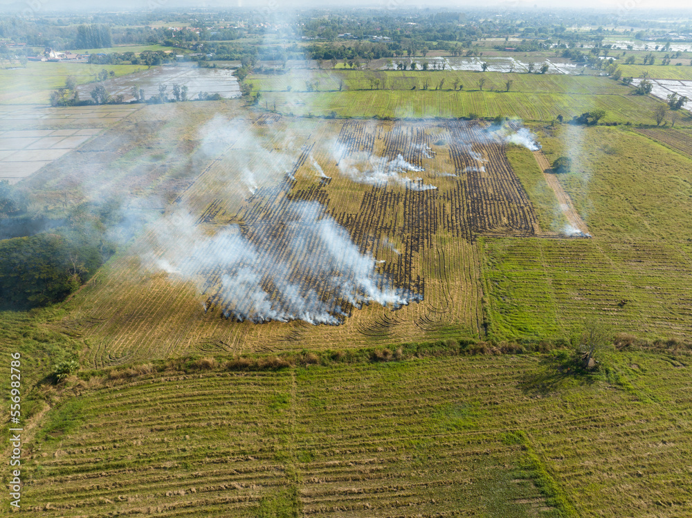 Fototapeta premium Burning agricultural or crop residues has resulted in air pollution and black carbon in the global atmosphere.
