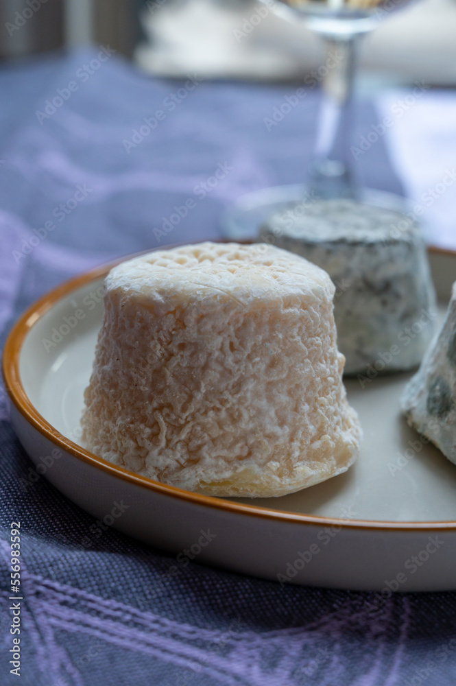 Small french goat cheeses, matured with grey mold from Macon, Burgundy, France