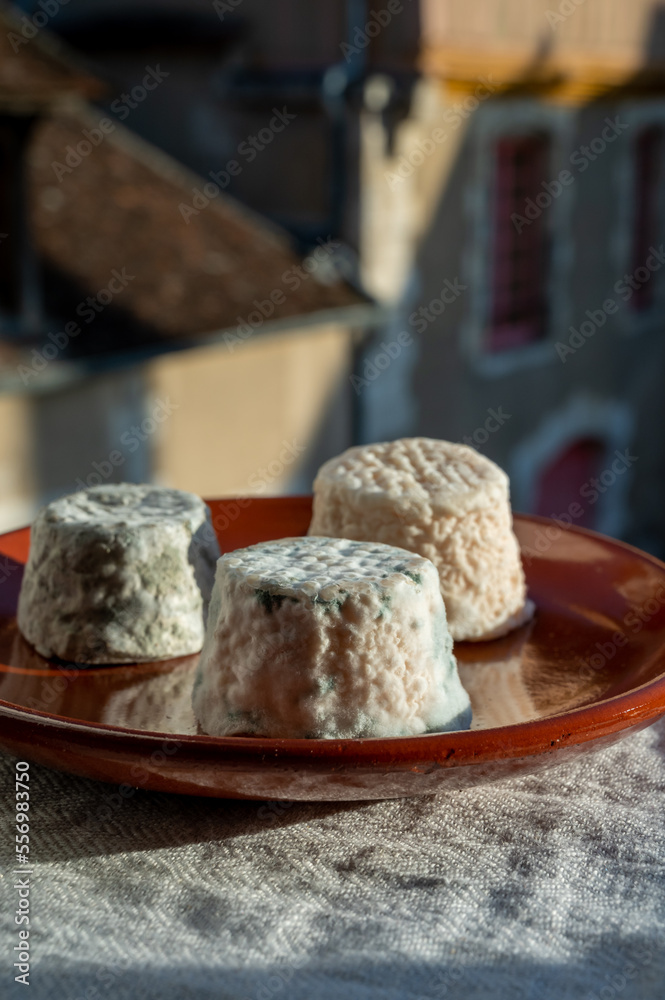 Small french goat cheeses, matured with grey mold from Macon, Burgundy, France