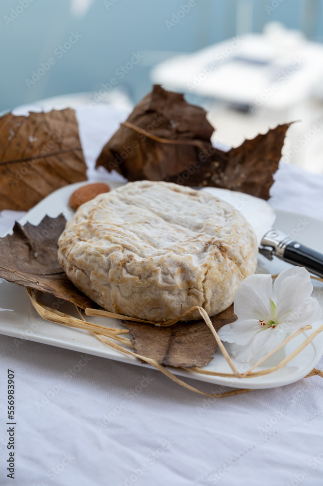 French mountains cheese banon wrapped in chestnut leaves made in Provence from unpasteurised goat milk French mountains cheese banon wrapped in chestnut leaves made in Provence from unpasteurised goat milk
