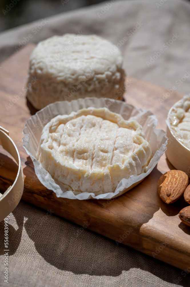 French cheeses Rocamadour and Saint-Marcellin served on olive tree wooden plank with almonds French cheeses Rocamadour and Saint-Marcellin served on olive tree wooden plank with almonds