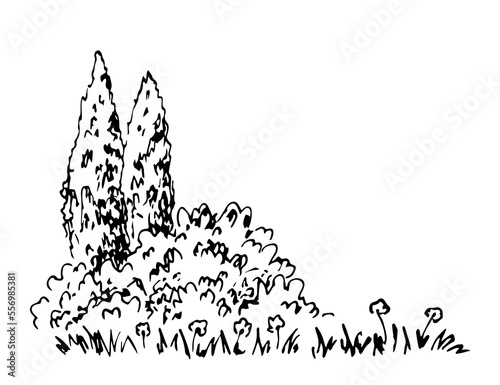 Simple vector ink sketch. Nature, summer landscape. Cypress trees, bushes, grass and flowers.