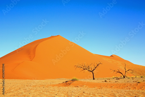 distant view of People on the top of a bright orange sand dune with a bright blue clear sky
