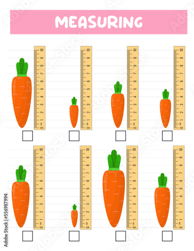 Measuring length  with ruler. Education developing worksheet. Game for kids.Vector illustration. practice sheets.Carrot measurement in centimeters.