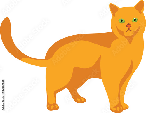 Ginger cat. Yellow pet standing. Cute animal