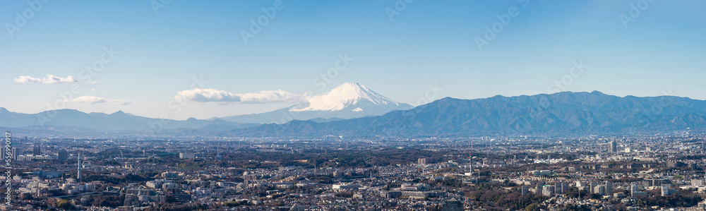 横浜から見た富士山