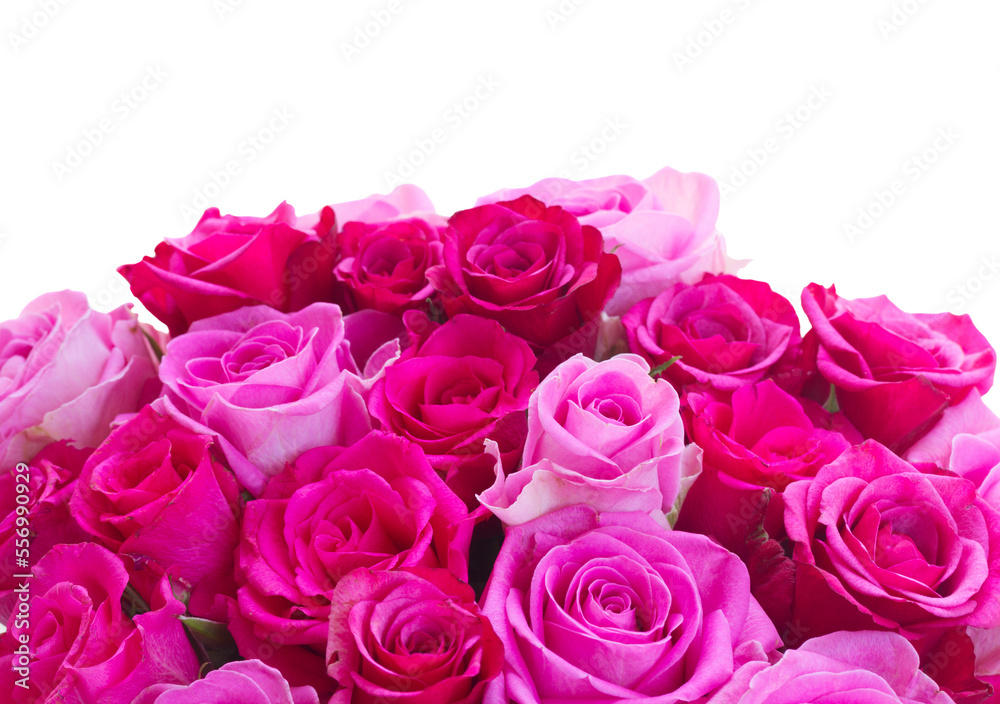 bouquet of fresh pink roses bouquet of fresh pink roses