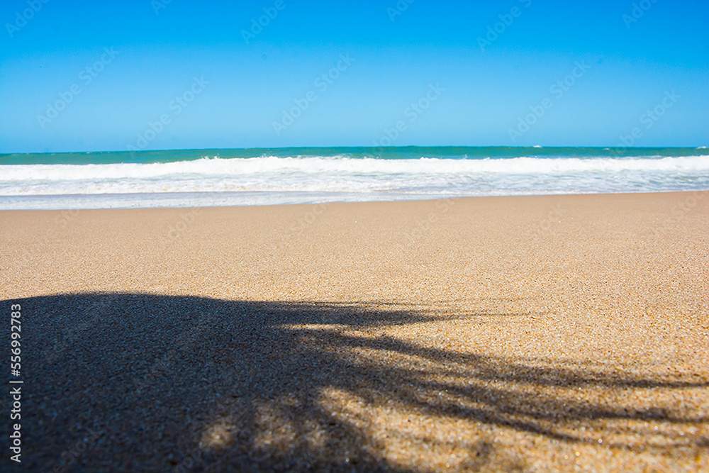 beach and sea