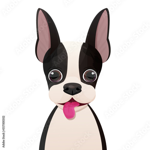 Boston terrier face, puppy head, portrait in cartoon style isolated on white background. Cute dog, print design