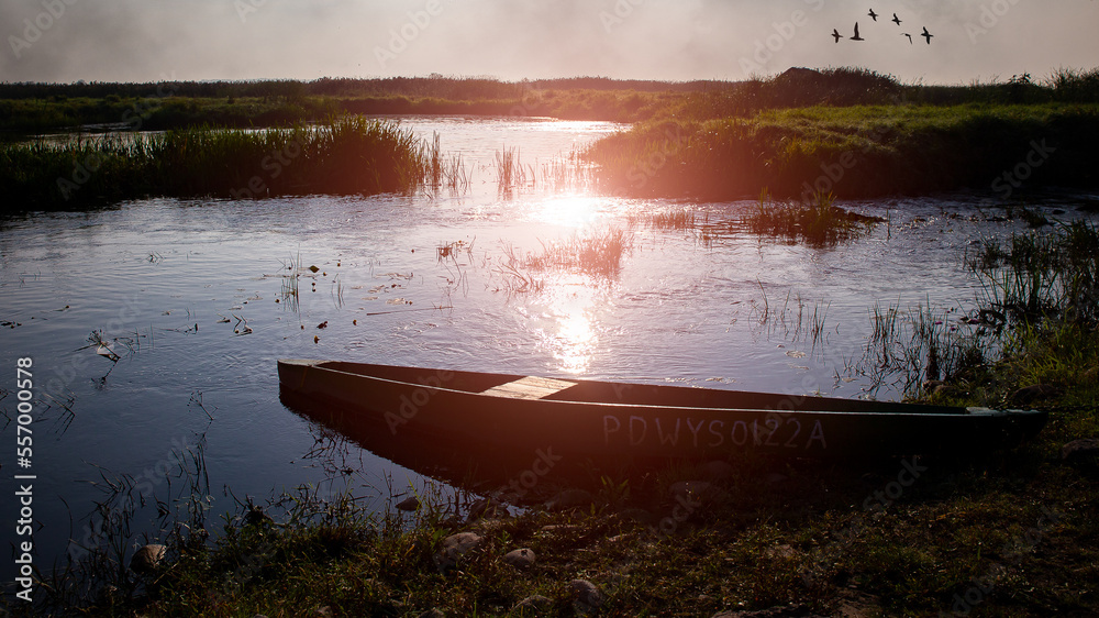 Backwaters in the Narew valley. Poland